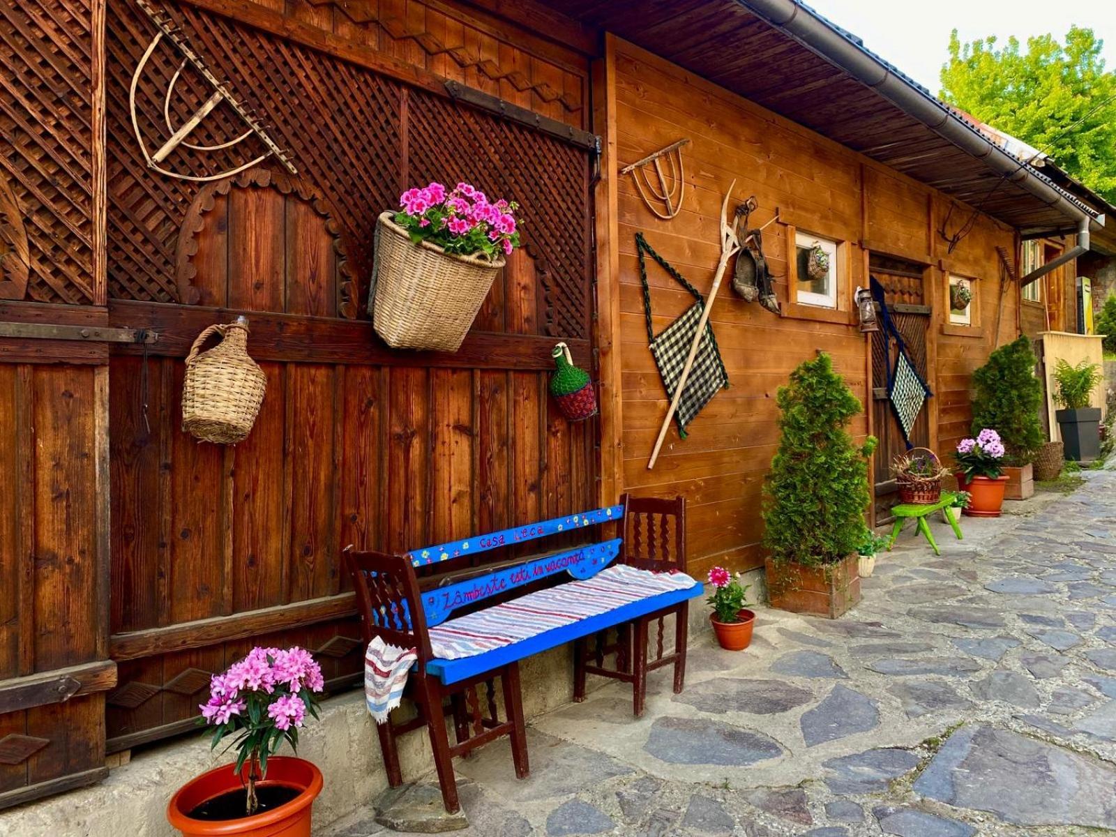 Casa Leca Hotel Breb Exterior photo